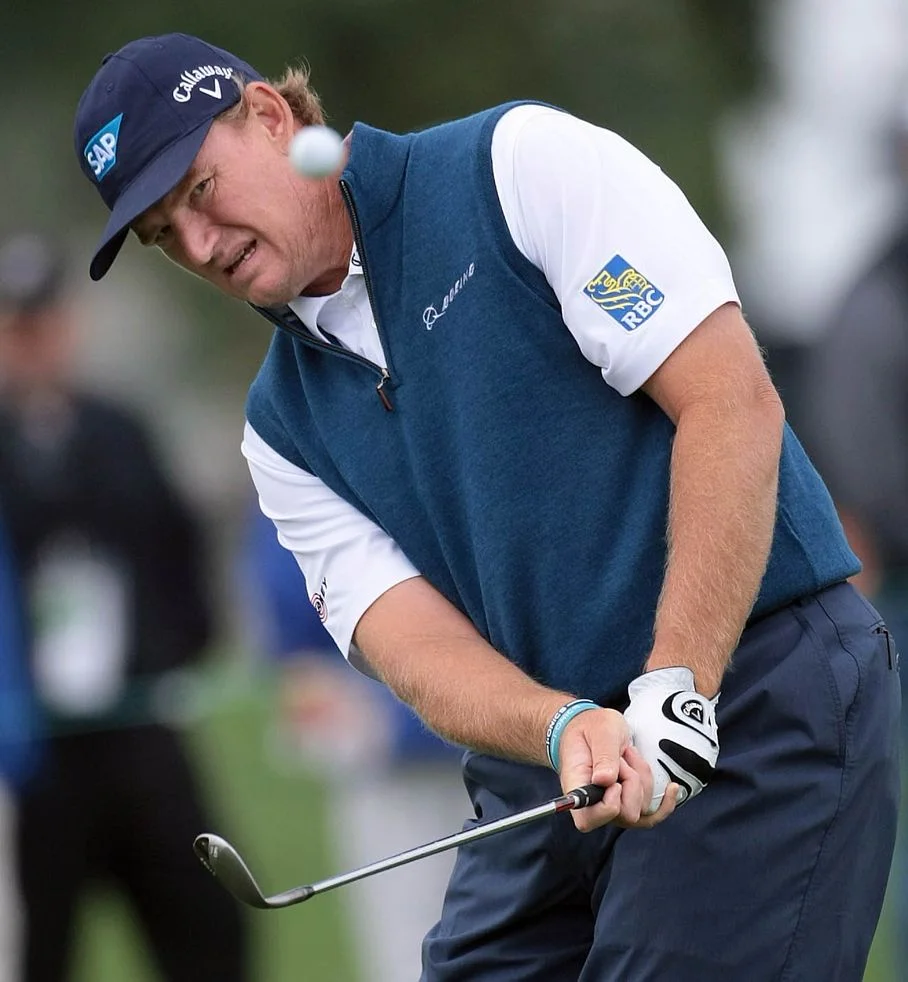 Professional Golfer: Ernie Els