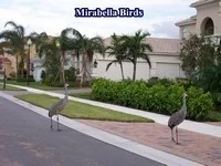 26__mirabella_wildlife_200_200