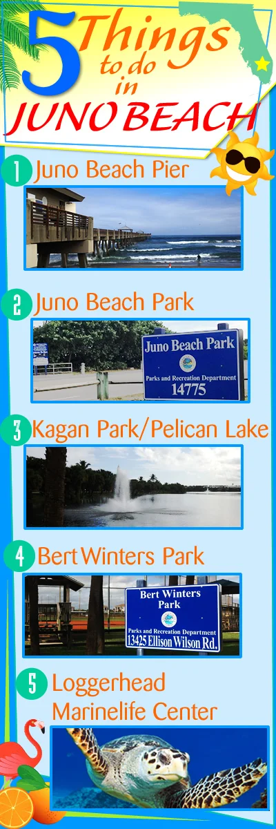 5thingstodoinjunobeach_1200