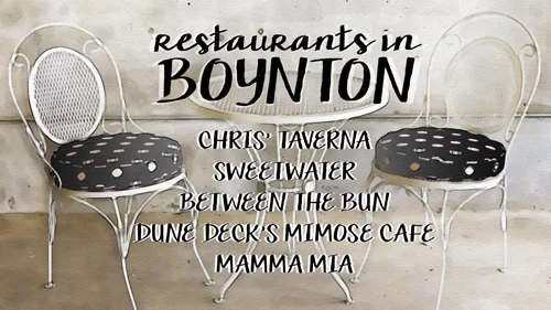 boynton_blog_resized_500_01