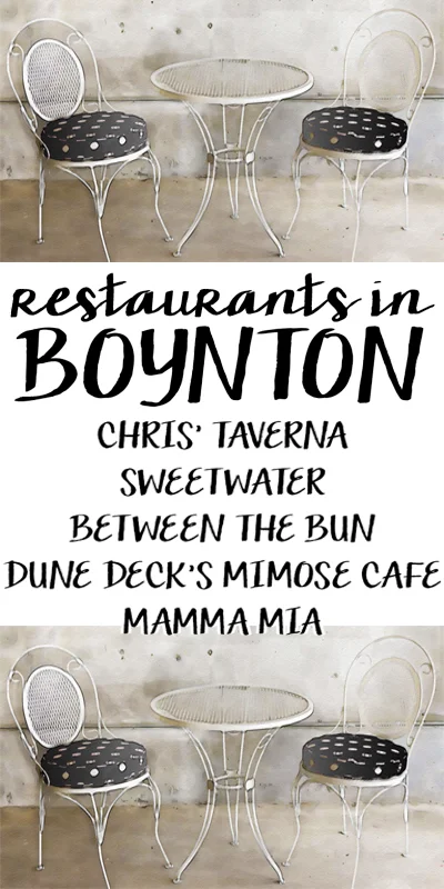 boynton_pin_800_01