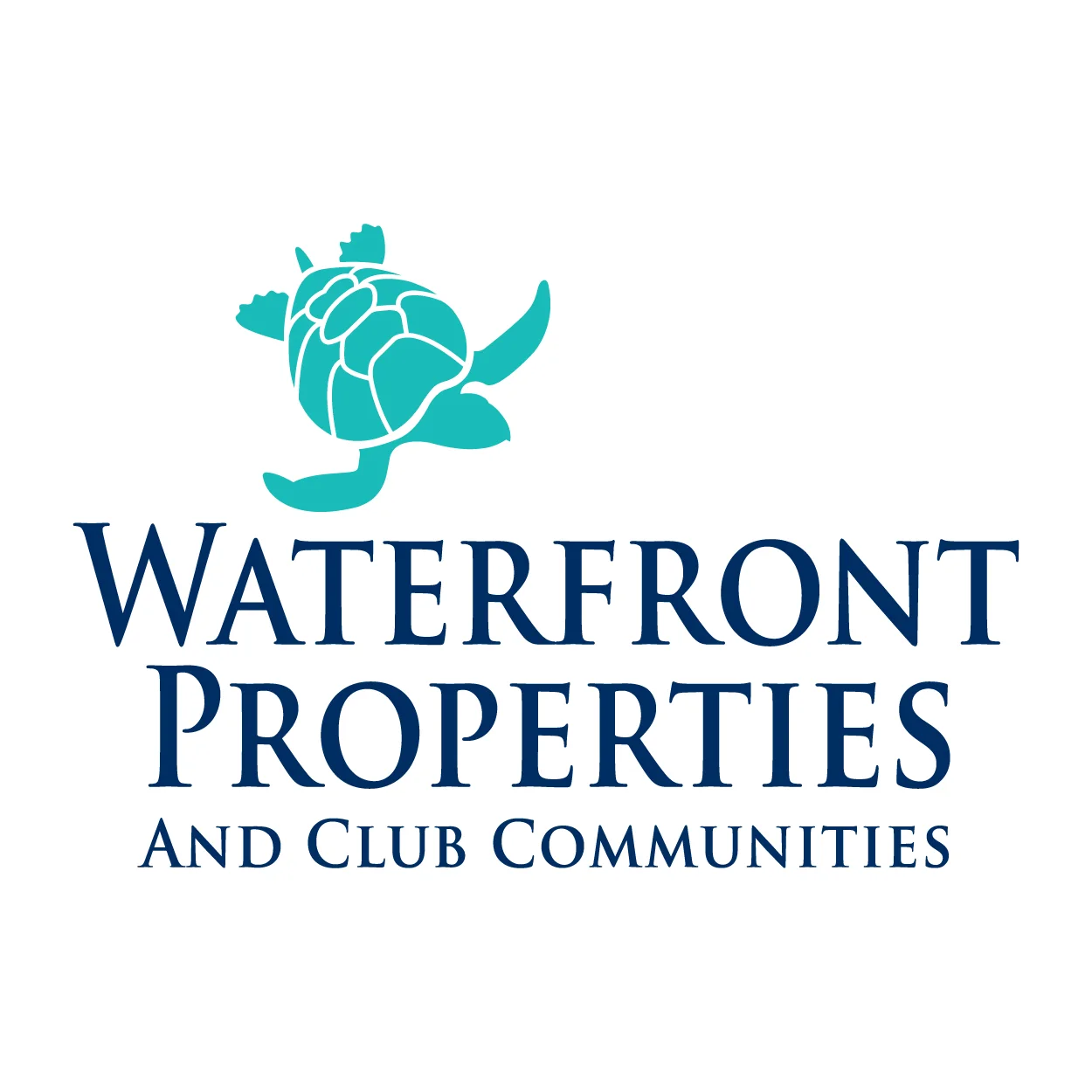 fb_turtle-top_1250_01