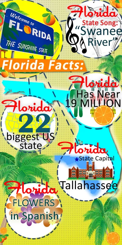 florida_800_01
