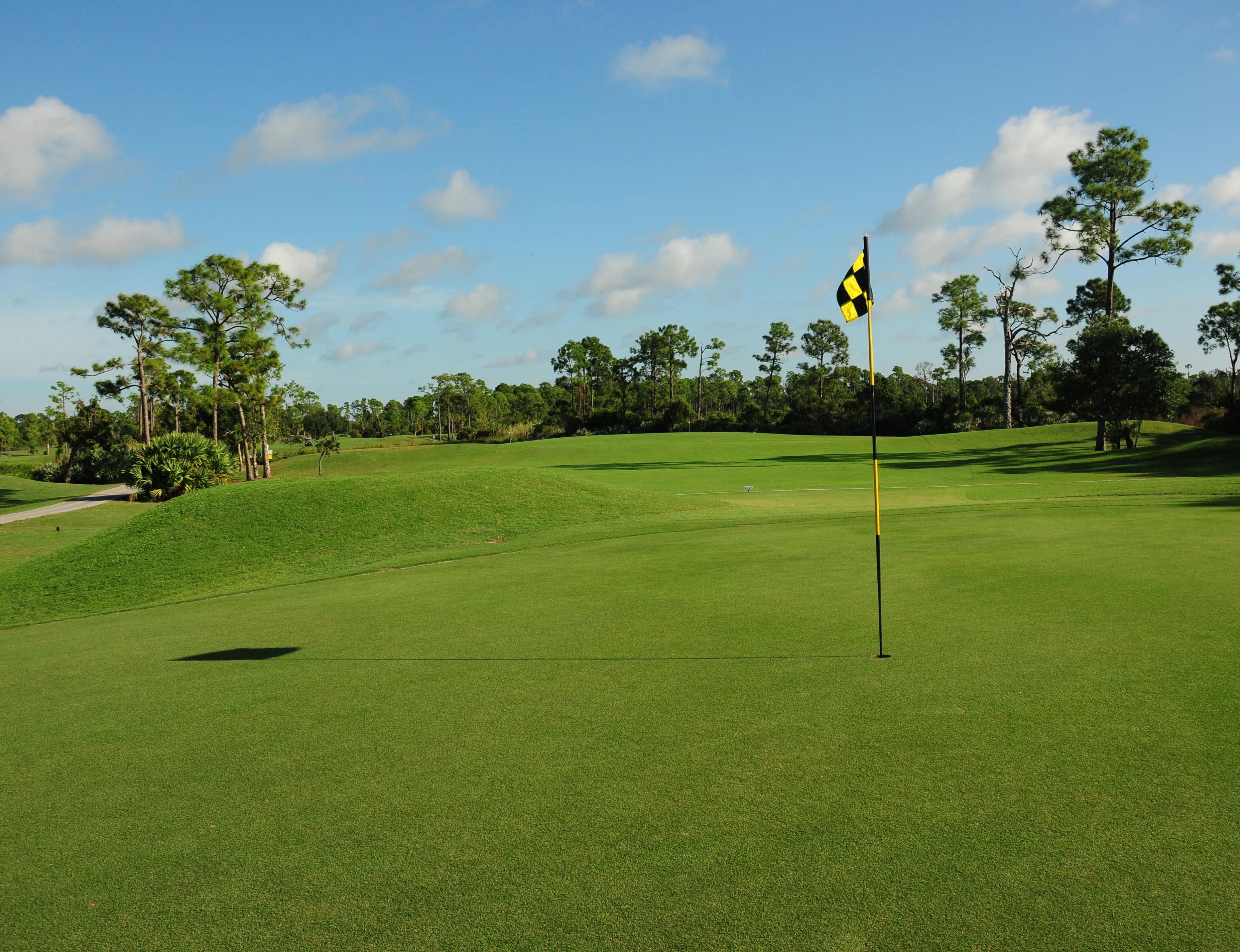 golf12_3710