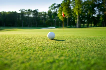 golf2_425