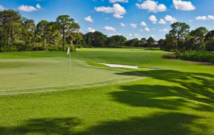 golf_436_06