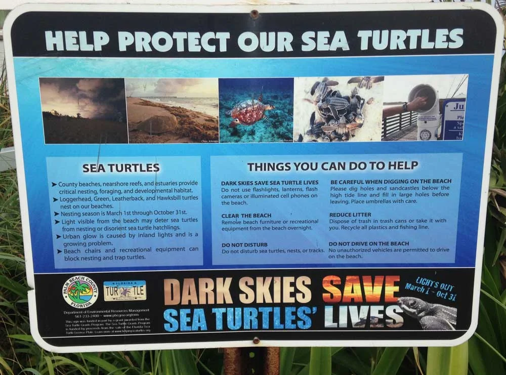 help-protect-our-sea-turtles-sign_1000