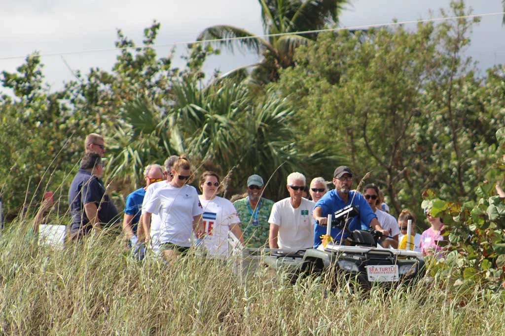 Transporting the sea turtles to the ocean