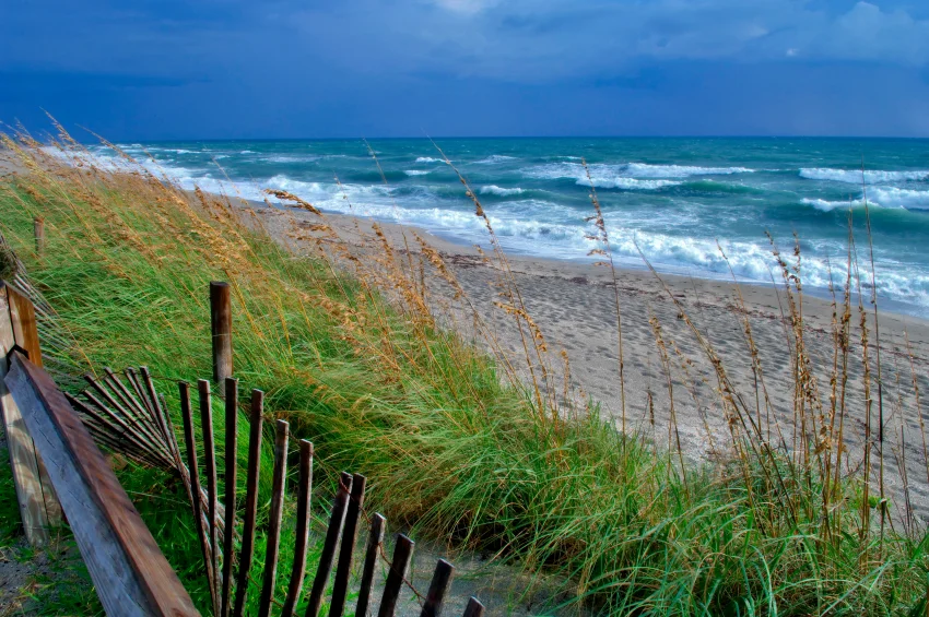 Palm Beach County
