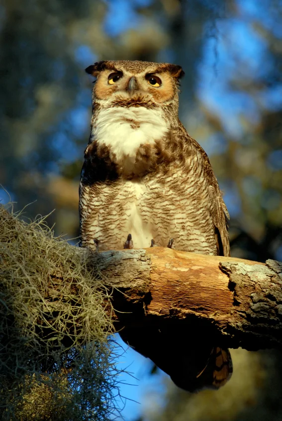 istock_000002980415small_847