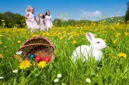 South FLorida Easter