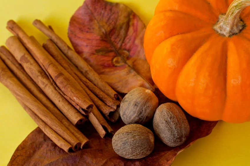 istock_000014831552small_849