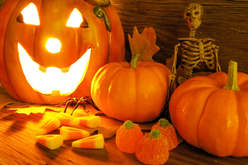istock_000018066771small_850