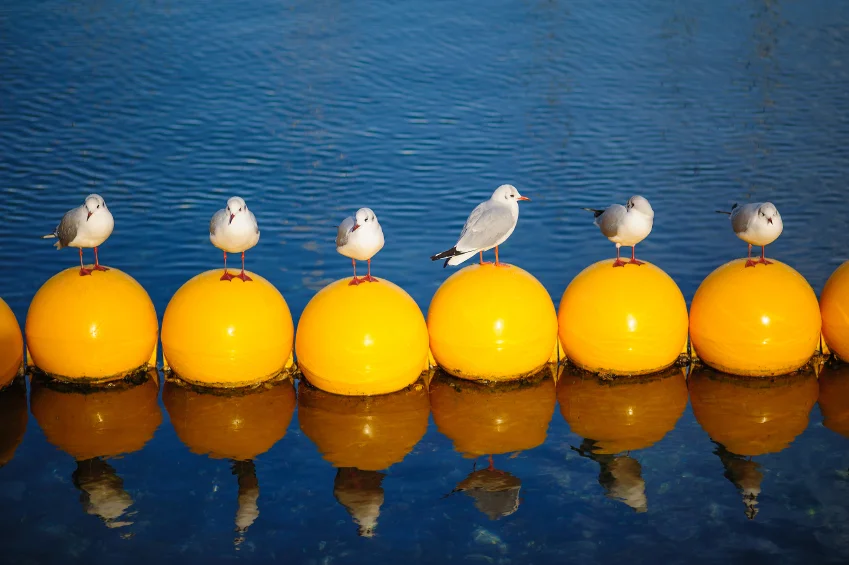 istock_000020271731small_849_03