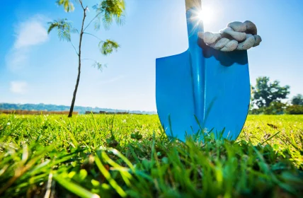 istock_000022128105xsmall_428