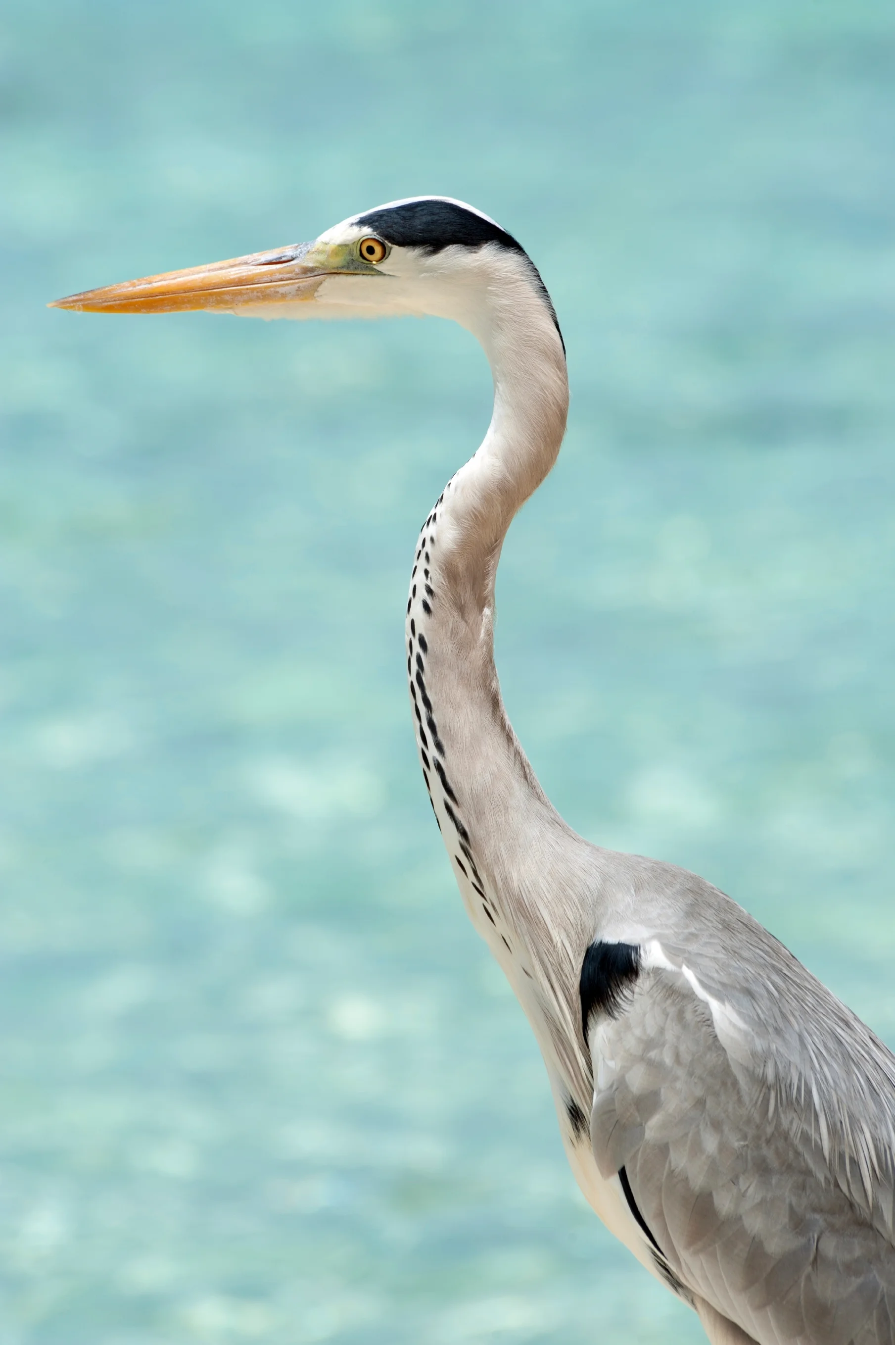 istock_000025267670large_2717