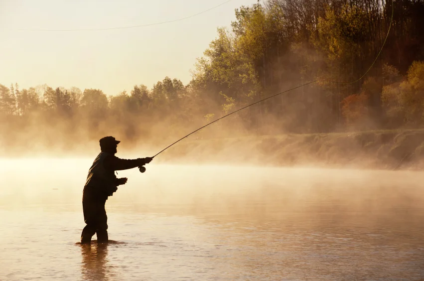 istock_000032876638small_851