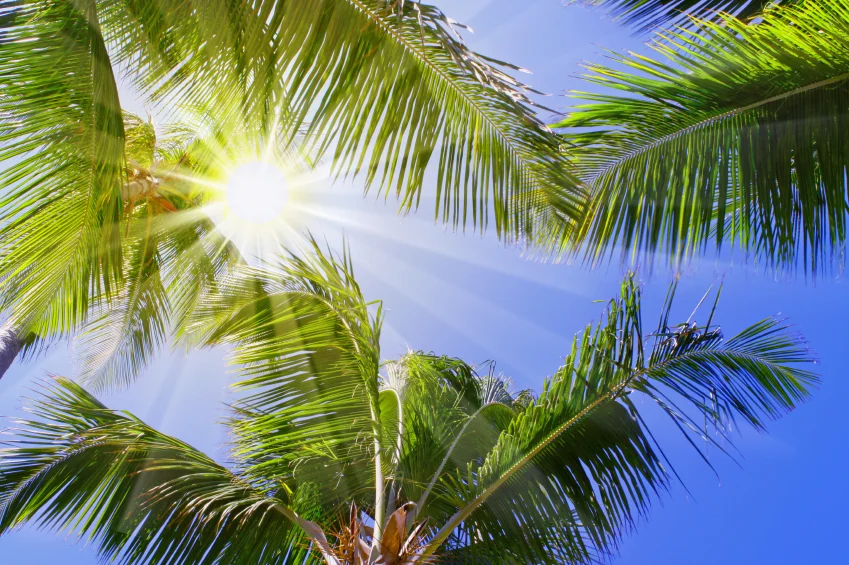 istock_000034843356small_849