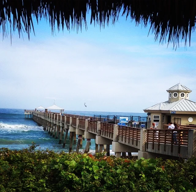 Things to do in Juno Beach