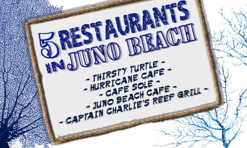 juno_beach_blog_500