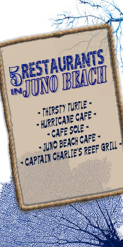 juno_beach_pin_800 juno_beach_pin_800