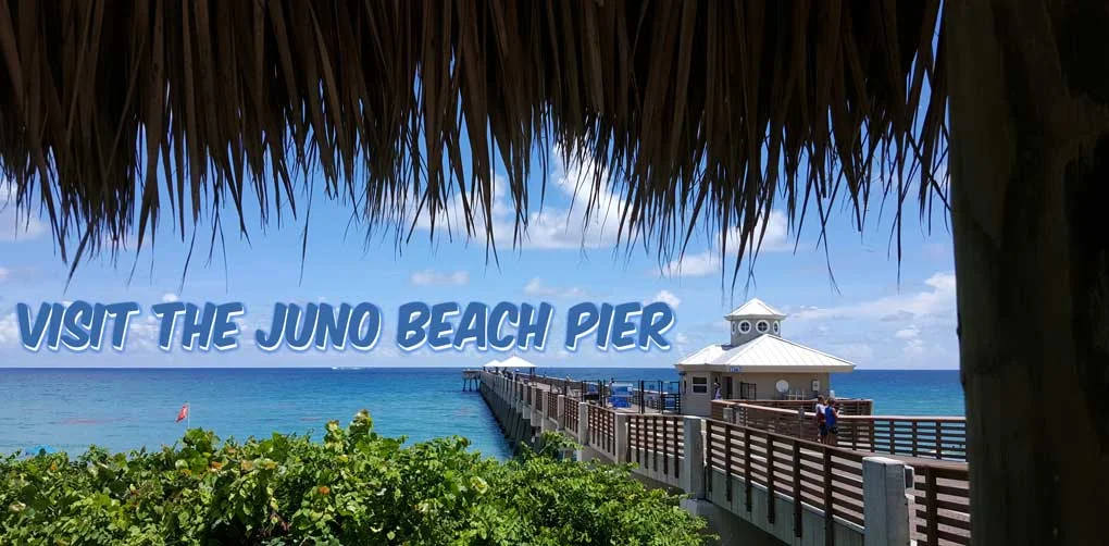  pier 