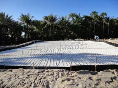 jupiter-island-wood-tiger_400