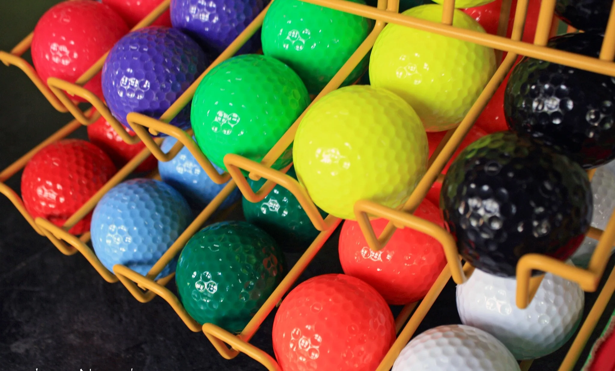 Jupiter Family Golf 