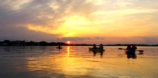photo_36_320