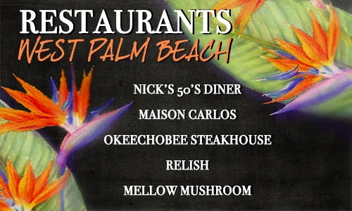 5 Things To Do in West Palm Beach