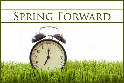 Daylight Savings Time