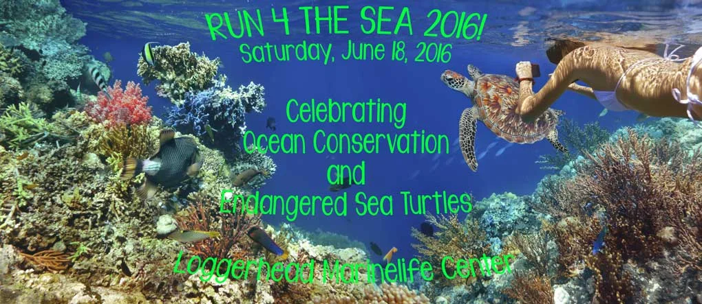 RUN 4 THE SEA 2016