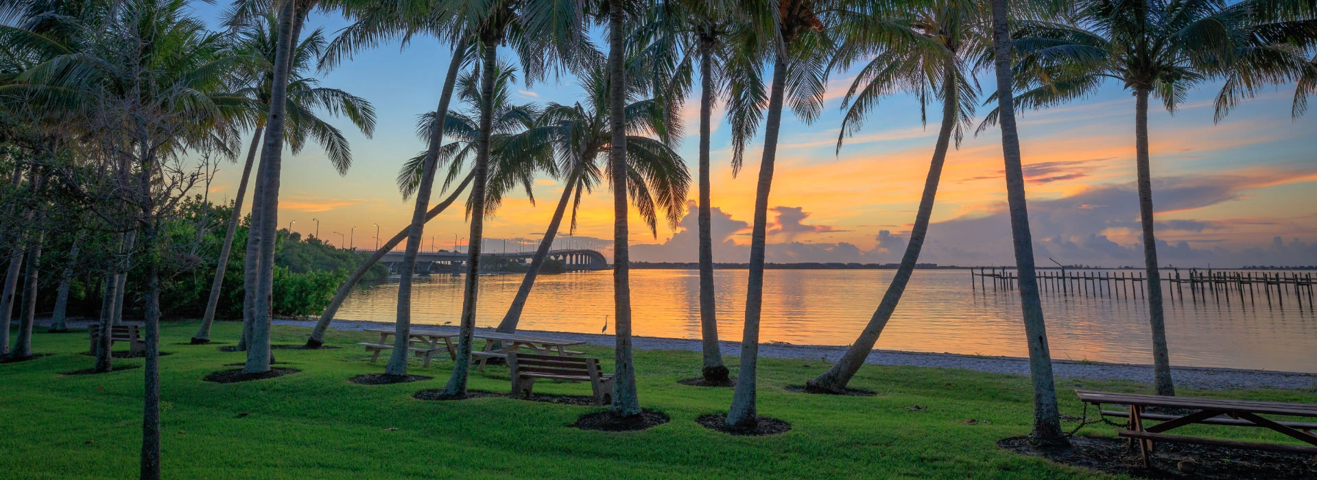 Sunset photo of Stuart palm trees